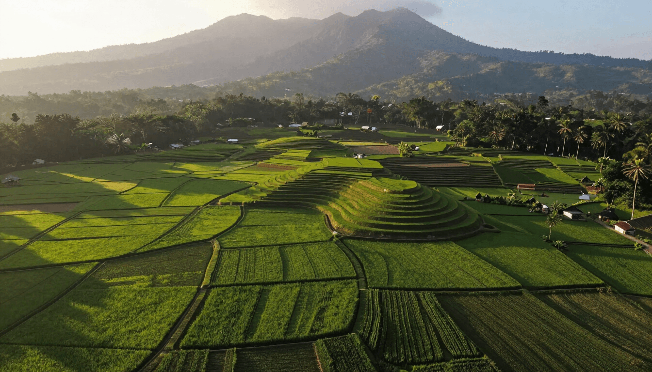 Terraced sweet potato farms in Cilembu, West Java