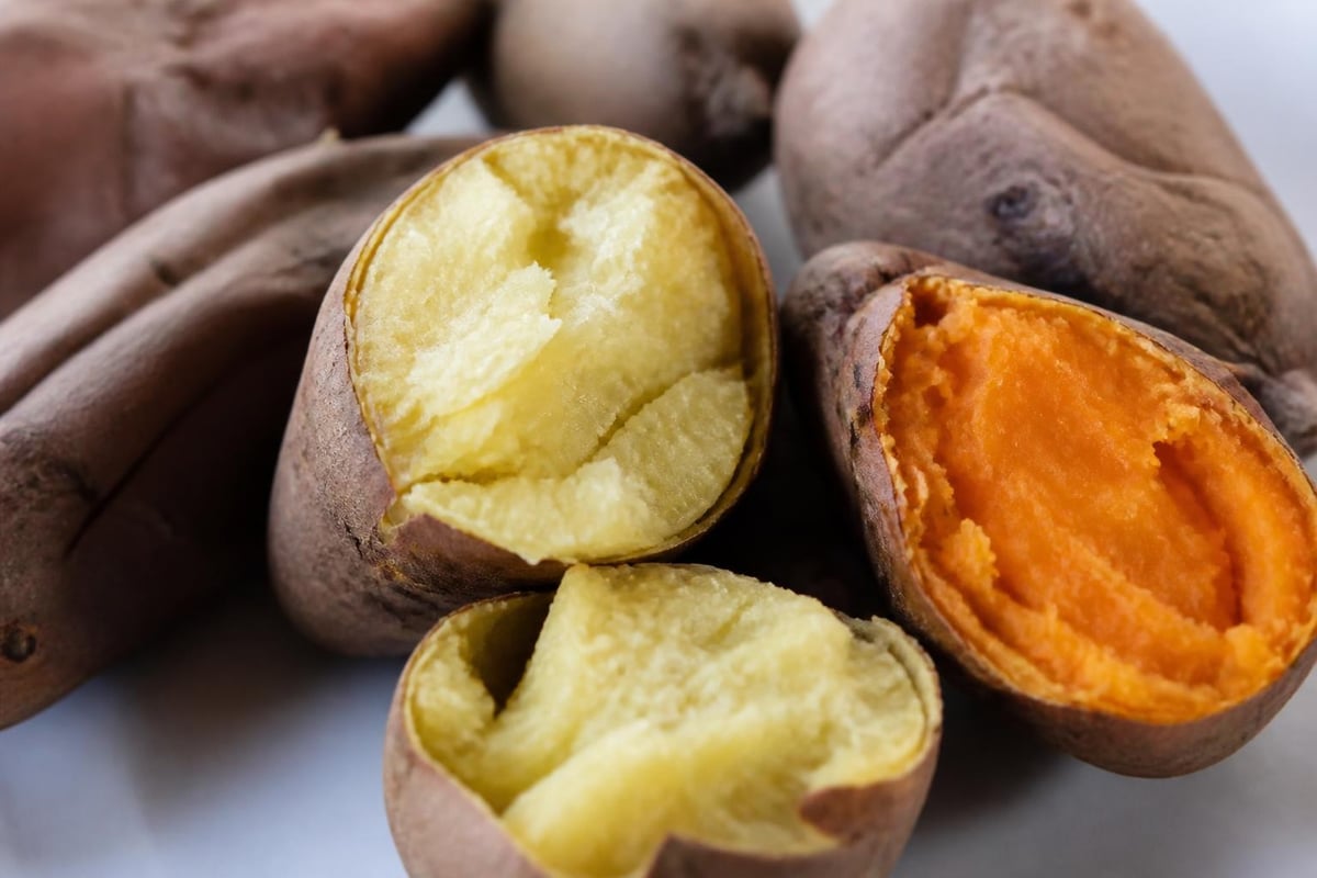 Chestnut sweet potato variety characteristics