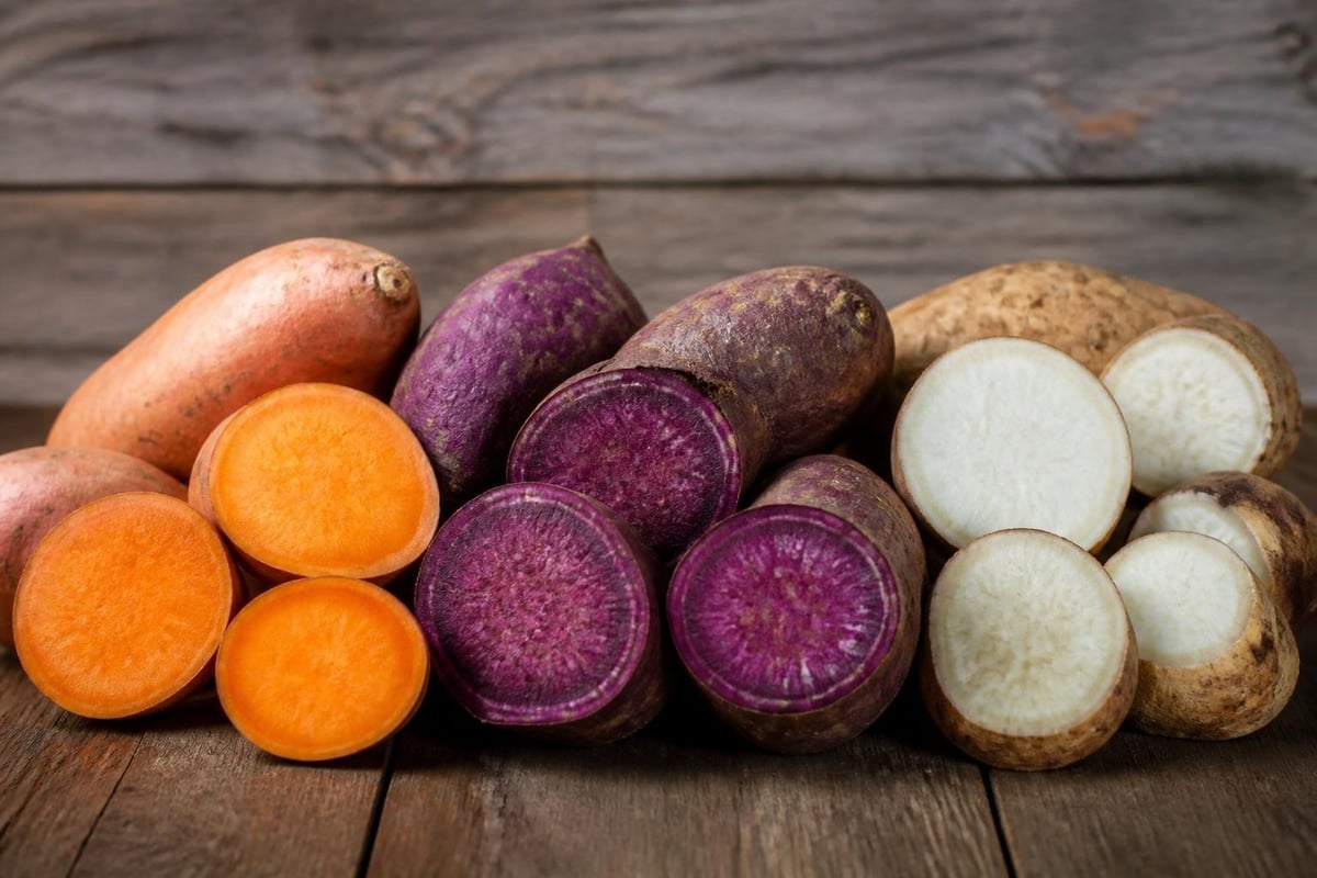Sweet potato varieties comparison